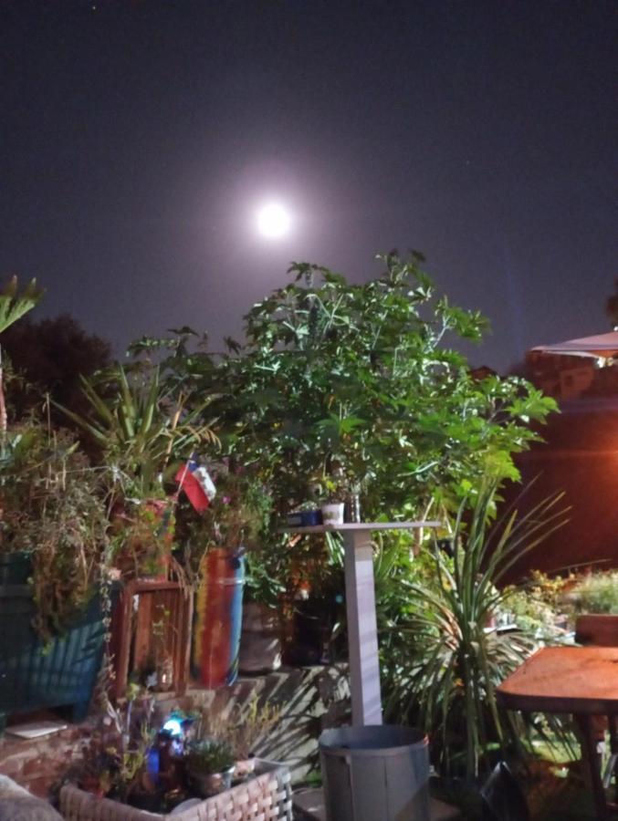 Selva Hospedaje Valparaiso Luaran gambar