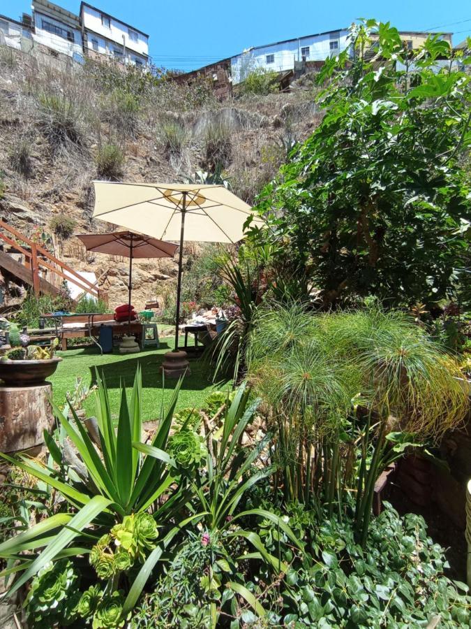 Selva Hospedaje Valparaiso Luaran gambar
