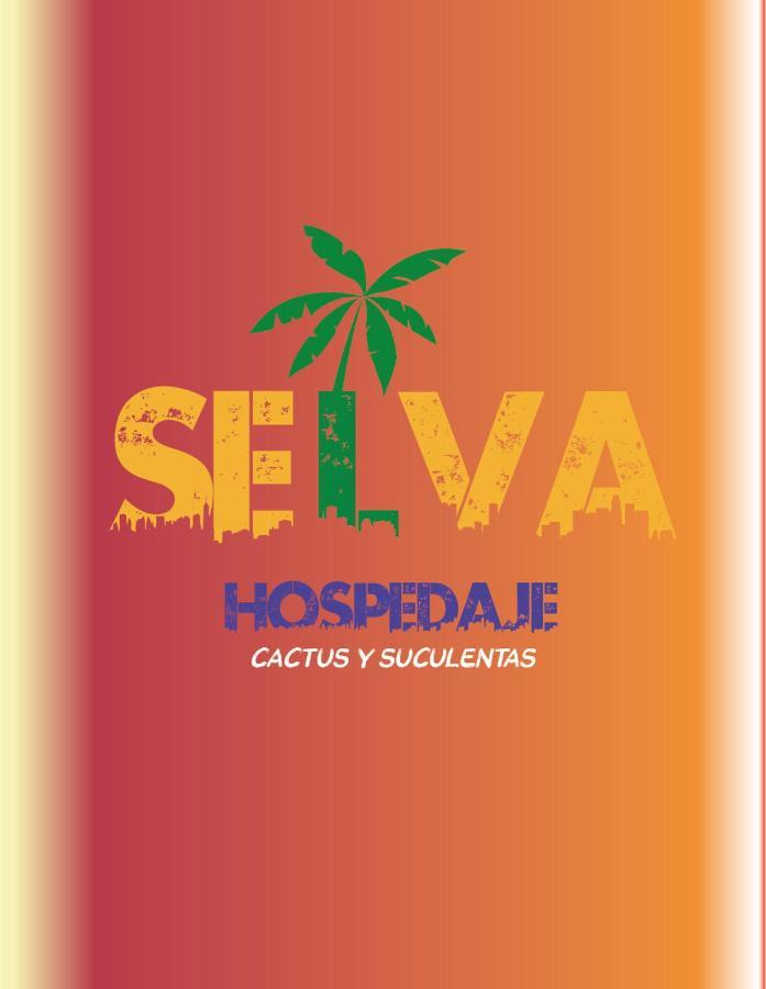 Selva Hospedaje Valparaiso Luaran gambar